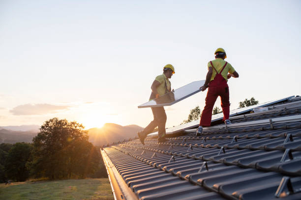 Best Roof Moss and Algae Removal  in Searingtown, NY